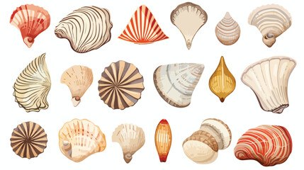 Set of various beautiful mollusk sea shells sketch