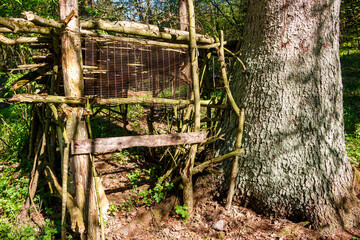 Abandoned children's hut in a wild forest under a tree