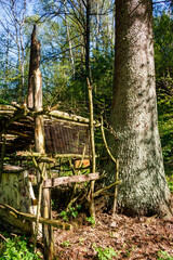 Abandoned children's hut in a wild forest under a tree