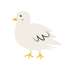 Funny outline dove. Angry disgruntled urban pigeon in doodle style. Outline drawing with cute feathered bird for wrap design. Cartoon flat vector illustration isolated on white background