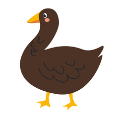 Cute vector brown duck in flat style, isolated on white background. Fermi birds, illustrations for children's development.