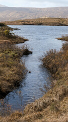 Waterway and golden tussock grass with Lewisian gneiss precambrian metamorphic rock on Loch Inver,...