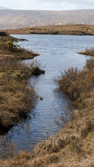 Waterway and golden tussock grass with Lewisian gneiss precambrian metamorphic rock on Loch Inver,...