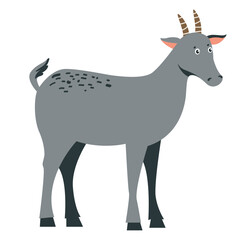 Cute goat vector drawing in flat style, isolated on white background. Farming, farm animals in doodle style.