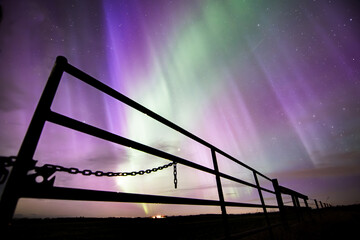 Aurora Borealis dancing across the night sky with a metal gate silhouette on the Alberta prairies...