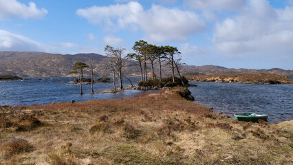 Scenic view of Lewisian gneiss precambrian metamorphic rock islands with trees on Loch Inver,...