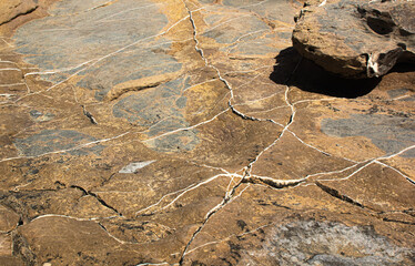 beautiful Mediterranean granite with light colored veining. top view, close. sunlight
