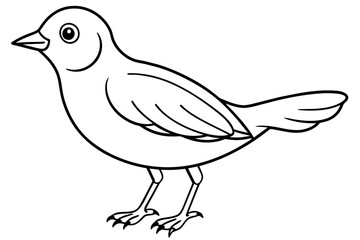 doodle bird vector silhouette illustration