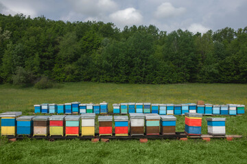 Colourful hives or apiary at green meadow field. Honey production concept.