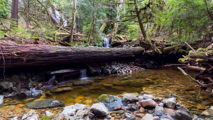 Waterfall in forest with creek