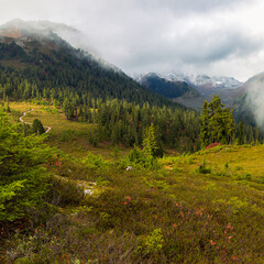 mountain valley in fall with trail