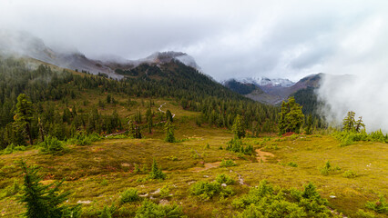mountains in fall with trail