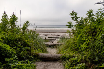 Trail to beach