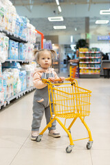 A little girl is holding a shopping cart in a store.
