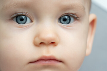 Close-up of a toddler baby gazing at the camera with calm face