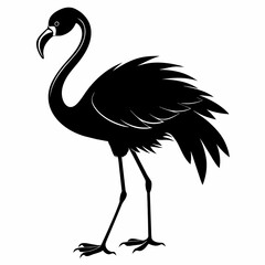 illustration of a flamingo