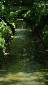Small river with green surroundings in Cremona. Slow motion.