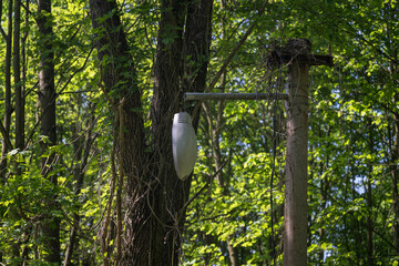 The shining light of a lamp on a cable by a pole.