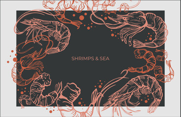 Hand drawn isolated vector set of shrimps and prawns. Shrimps and langoustines on a dark background.. Seafood, food vintage illustration.