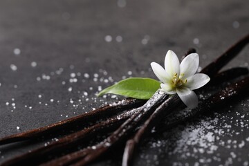 Vanilla pods, flower, leaf and sugar on grey textured table, closeup