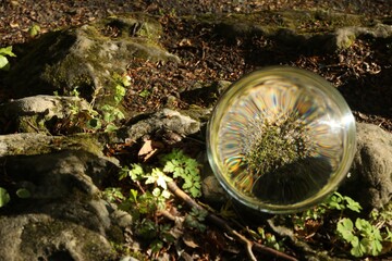 Ground with green moss outdoors, overturned reflection. Crystal ball on stone in forest