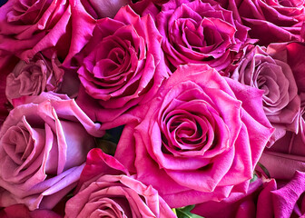 Bouquet of pink roses of various shades