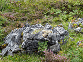Boreraig, Isle of Skye Highland clearance village