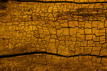 cracked wood yellow background or texture