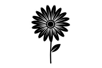 osteospermum  vector silhouette illustration