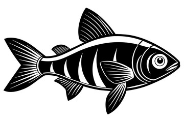 tetra on white background vector silhouette illustration 