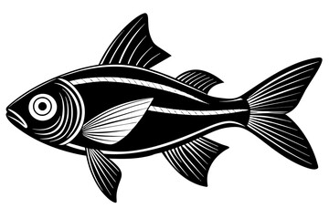 tetra on white background vector silhouette illustration 