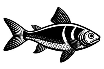 tetra on white background vector silhouette illustration 