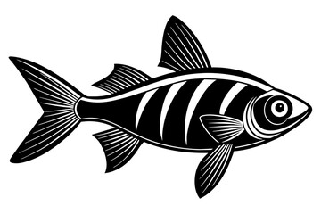 tetra on white background vector silhouette illustration 