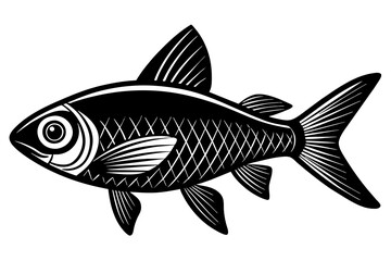 tetra on white background vector silhouette illustration 