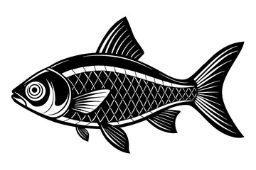 tetra on white background vector silhouette illustration 