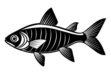 tetra on white background vector silhouette illustration 