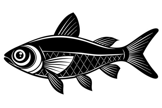 recommend clip art: tetra on white background vector silhouette illustration 