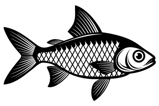 recommend clip art: tetra on white background vector silhouette illustration 