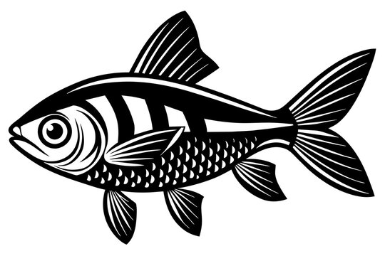 recommend clip art: tetra on white background vector silhouette illustration 