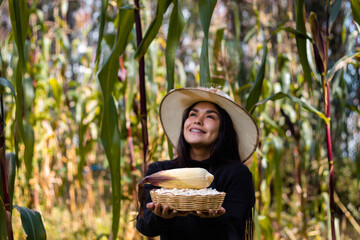 La cosecha del esfuerzo,una campesina bonita orgullosa muestra el fruto de su trabajo en la tierra, sosteniendo en su mano una canasta rebosante de maíz,estilo de vida,quechua,