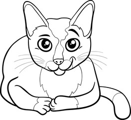 funny cartoon cat comic animal character coloring page