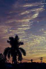 atardecer