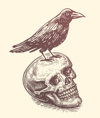 Raven, crow sitting on human skull. Hand drawn vector art. Sketch vector illustration