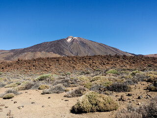 Tenerife, Spain: Teide National Park, landscape