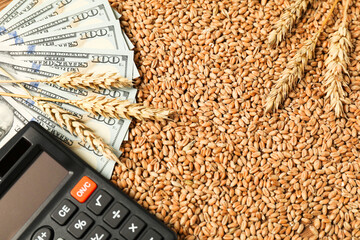 Dollar banknotes, calculator and wheat ears on grains, top view. Agricultural business