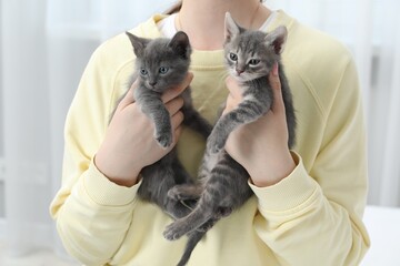 Woman with cute fluffy kittens at home, closeup