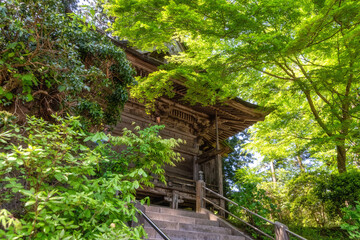 岩手県　新緑の中尊寺
