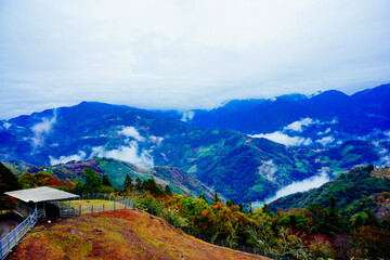 ali shan mountain and qingjing farm landscape in Taiwan 