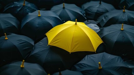 A yellow umbrella among a crowd of black umbrellas 3