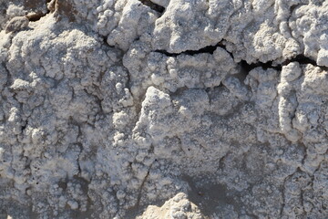 Salt Flat Close Up